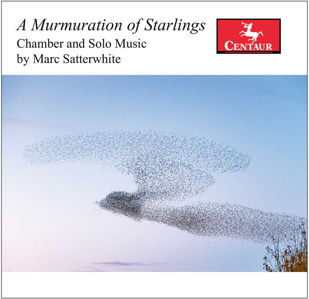 Satterwhite / Karr / Mattingly - Murmuration Of Starlings