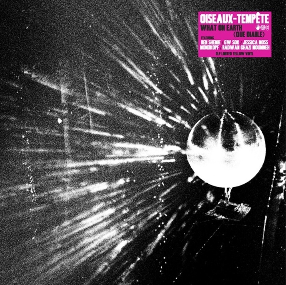 Oiseaux-Temp Te - What On Earth (Que Diable)