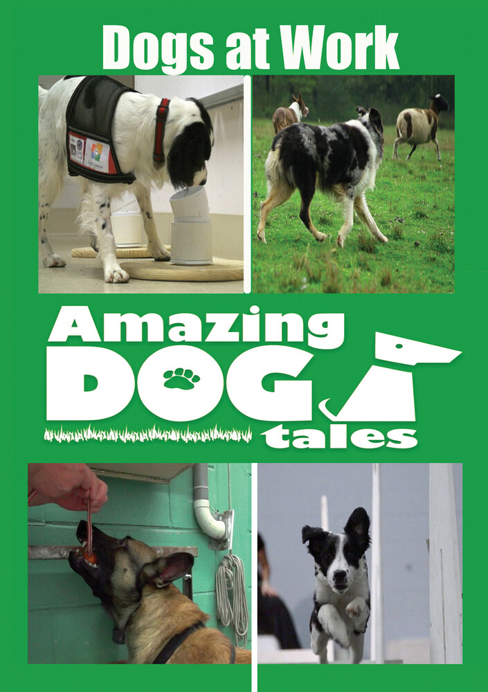 Amazing Dog Tales - Dogs at Work - Amazing Dog Tales - Dogs at Work