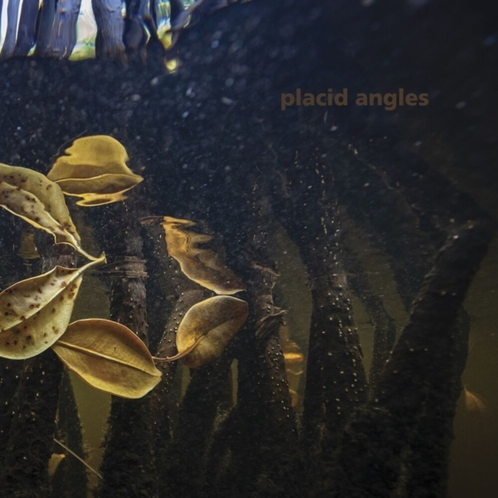 Placid Angles - Touch The Earth