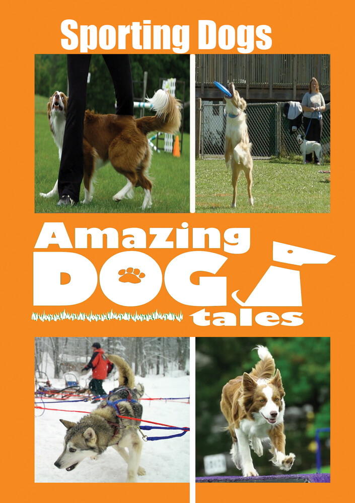 Amazing Dog Tales - Sporting Dogs - Amazing Dog Tales - Sporting Dogs