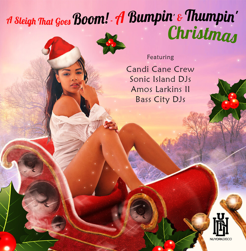 Various Artists - Sleigh That Goes Boom! - A Bumpin' & Thumpin' Chri