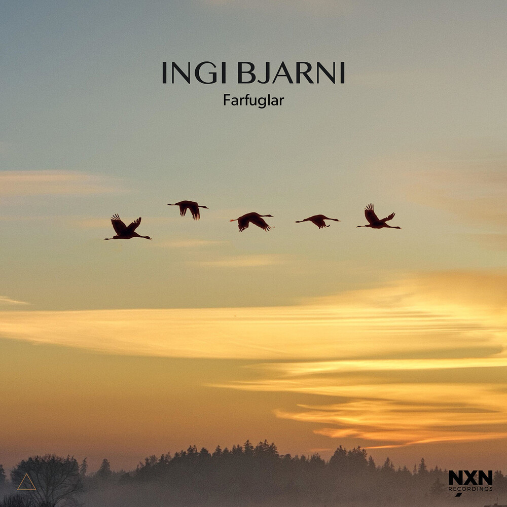 Ingi Skulason  Bjarni - Farfuglar