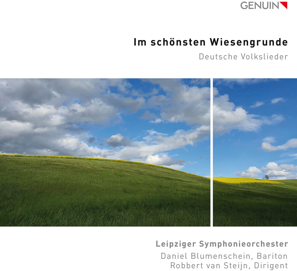 Mendelssohn / Leipziger Symphonieorchester - Im Schonsten Wiesengrunde