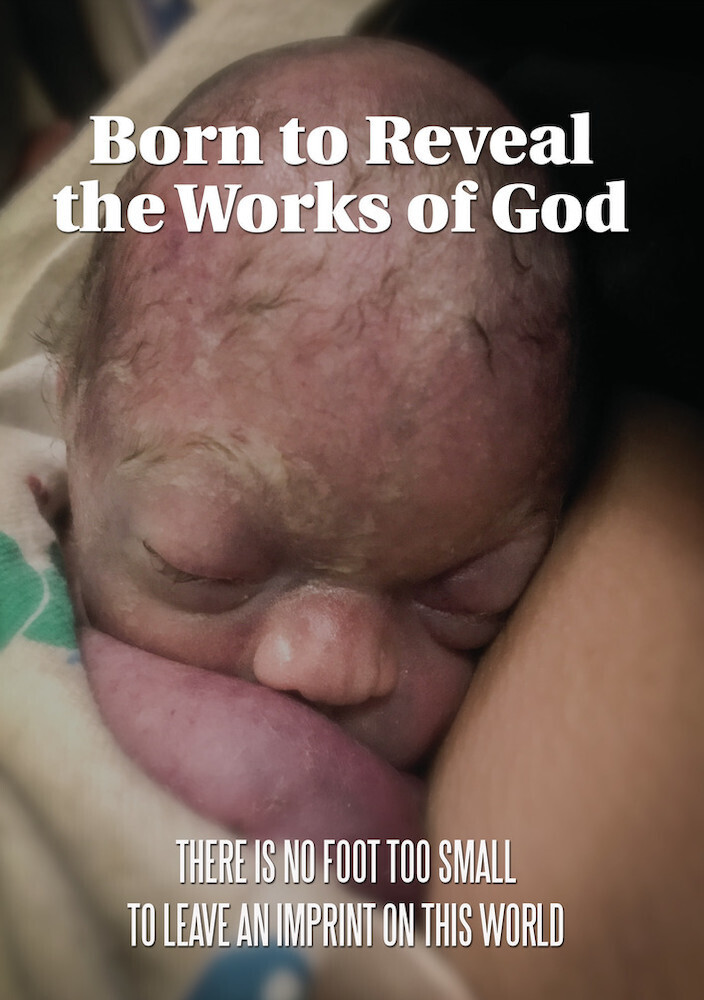 Born to Reveal the Works of God - Born To Reveal The Works Of God / (Mod)
