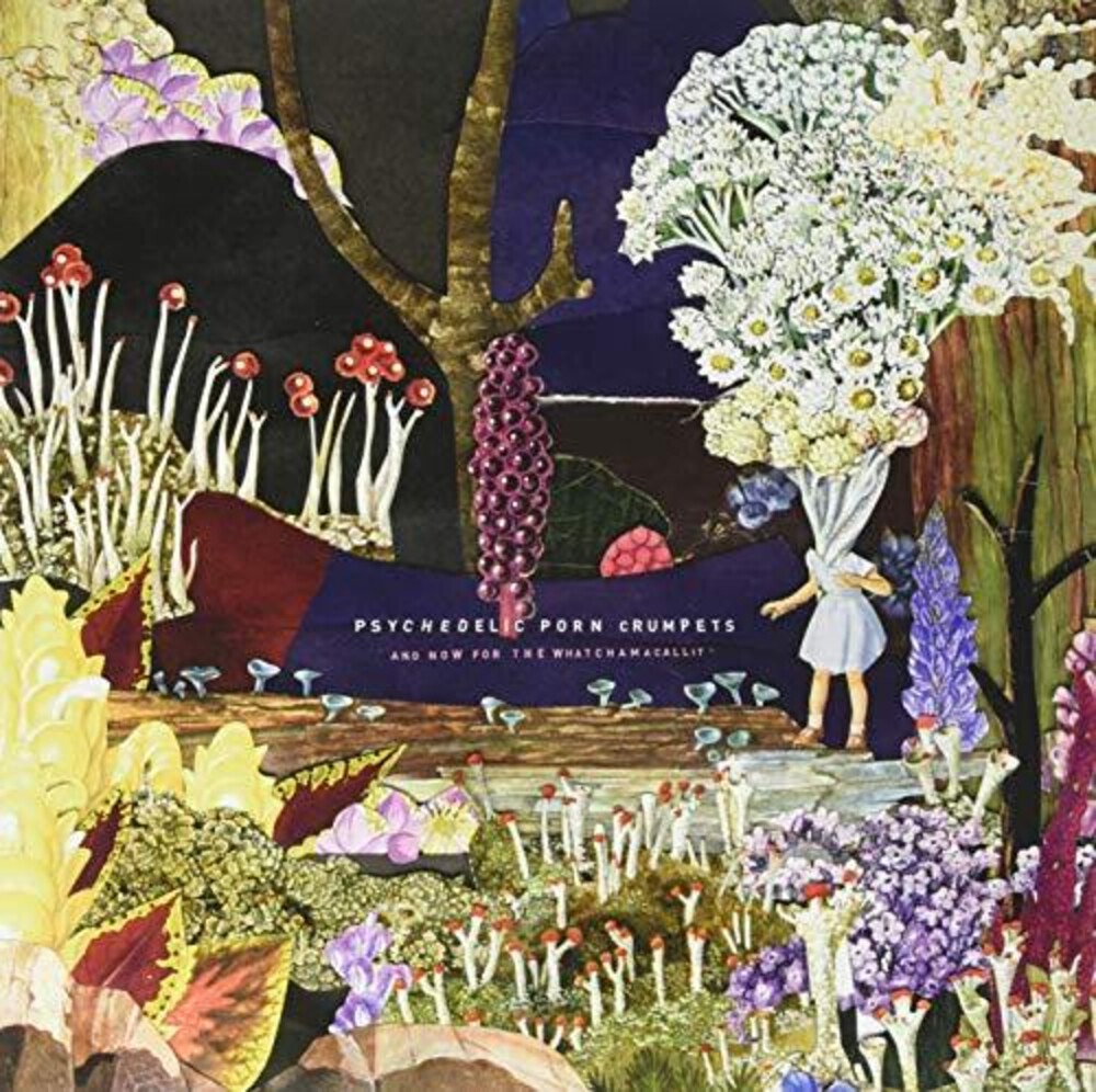 Album Art