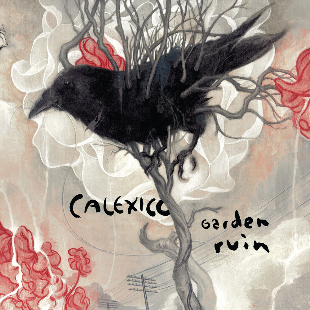 Calexico - Garden Ruin - Silver/White [Colored Vinyl] (Slv) (Wht)
