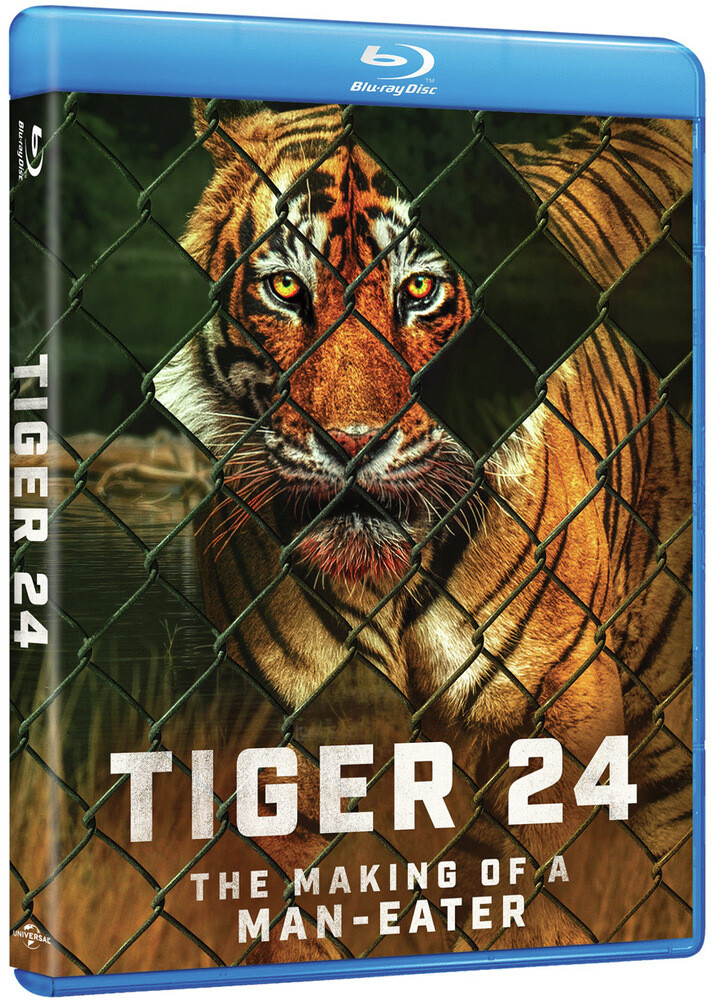 Tiger 24 - Tiger 24