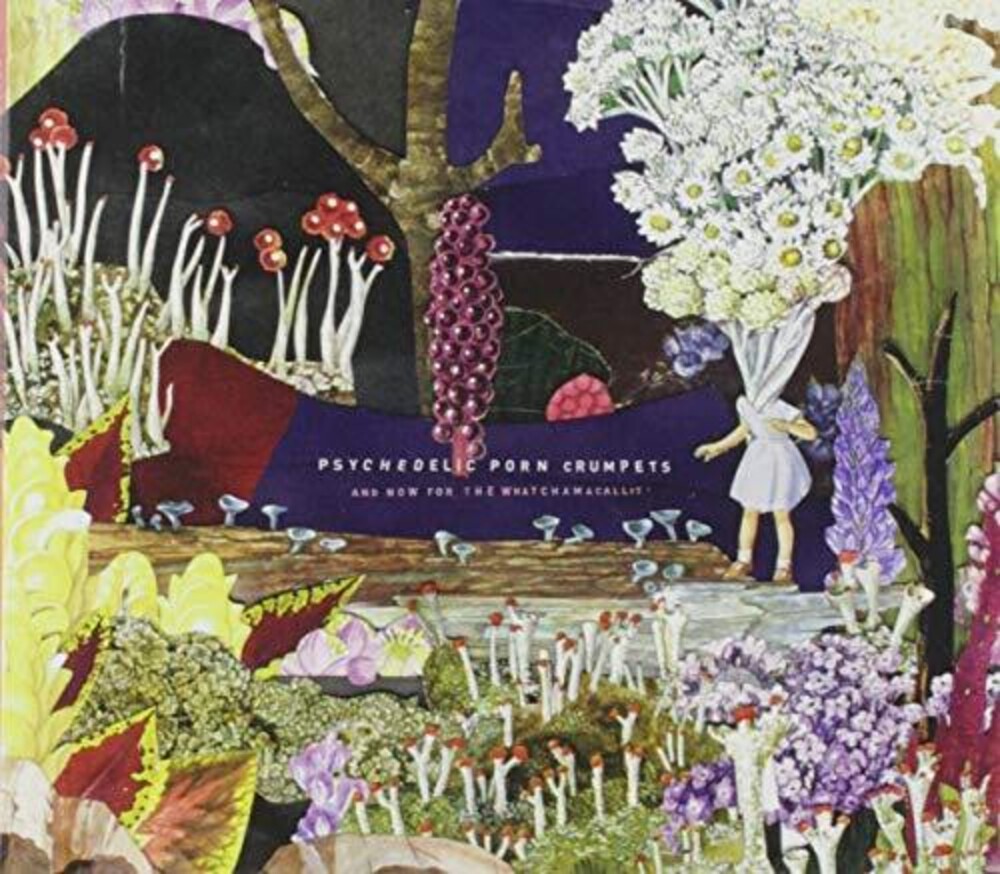Album Art