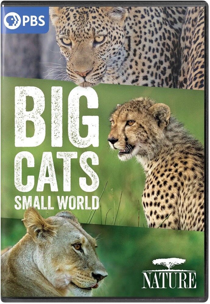 Nature: Big Cats Small World - Nature: Big Cats Small World