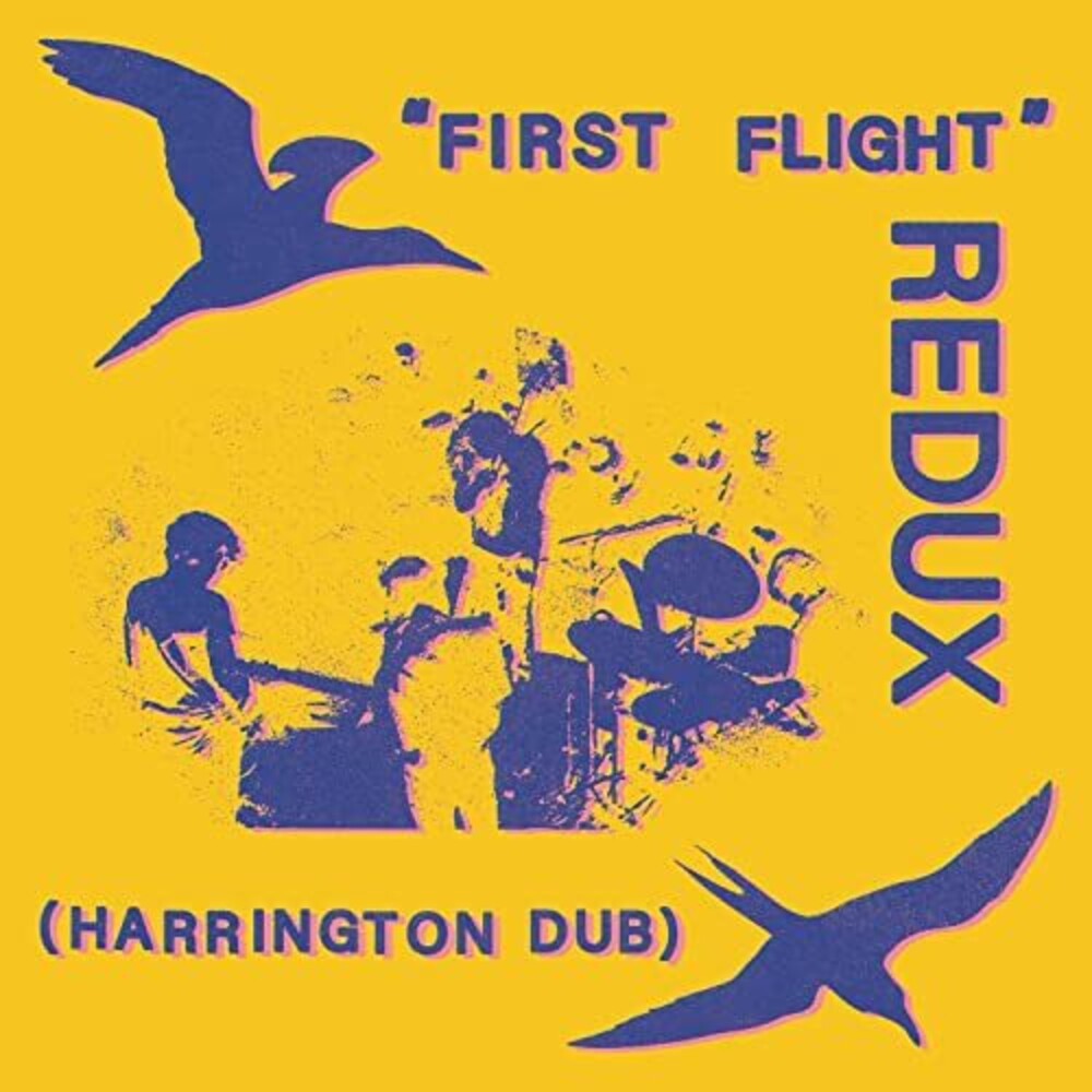 Chris Forsyth - First Flight Redux (Harrington Dub)