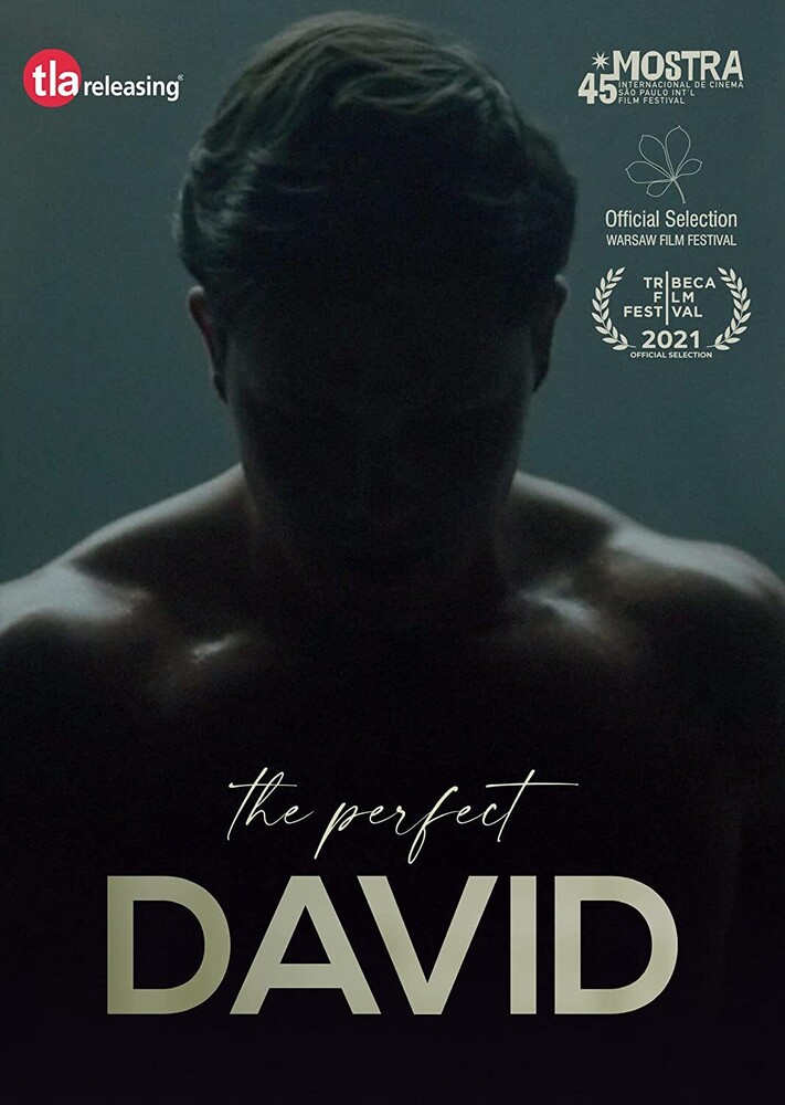 Perfect David - Perfect David