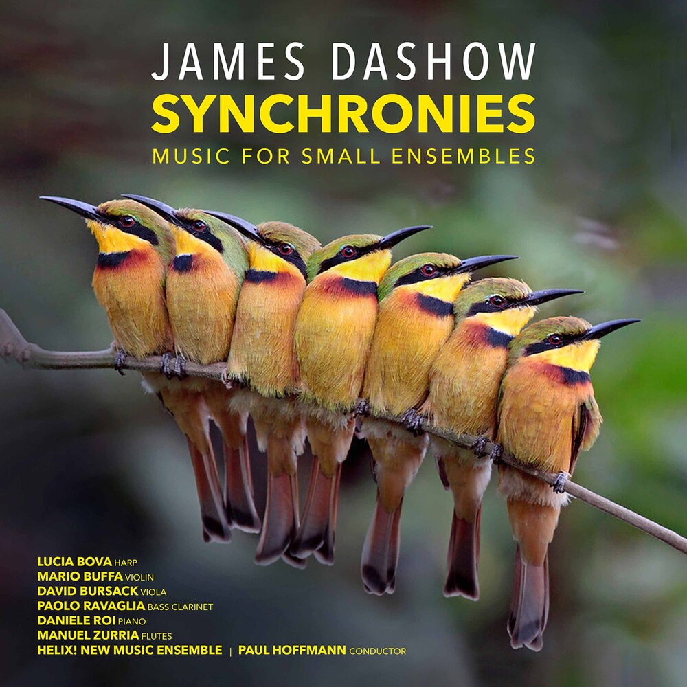 Dashow - Synchronies (2pk)
