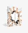 Pledis logo