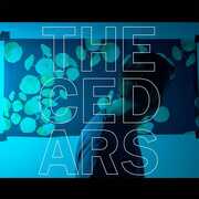 The Cedars , John Vanderslice