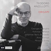 Origami , Teodoro Anzellotti