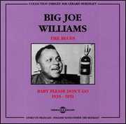 Blues , Big Joe Williams