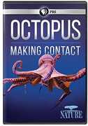 NATURE: Octopus: Making Contact 