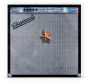 (((((Ultrasound)))))+ , The Neighbourhood