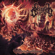 Vortex Of The Dark Knowledge , Cranial Osteotomy