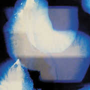 Homes , Shida Shahabi