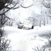 SZNZ: Winter , Weezer