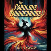 Live in Houston , The Fabulous Thunderbirds
