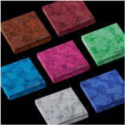 THE SIN: VANISH [FUGITIVE Ver.] , ENHYPEN