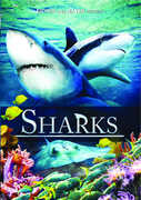 Sharks 