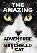 Amazying Adventure of Marchello the Cat , Michelle Rodriguez