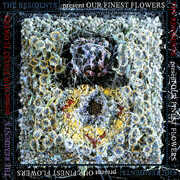 Our Finest Flowers , The Residents