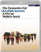 The Cassandra Cat [Import] 