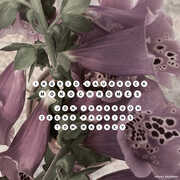 Monochromes , Ingrid Laubrock