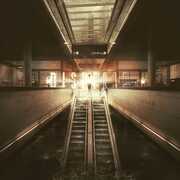 Foreword , Disperse