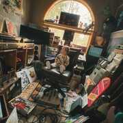 Vinyl Days , Logic