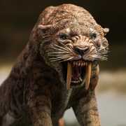 Wonders of the Wild Series - Smilodon Statue