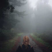 Under the Pipal Tree (25th Anniversary) , Mono