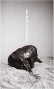Materia , Julia Holter