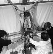 Akustisches Abreaktionsspiel , Hermann Nitsch