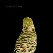 Armchair Apocrypha , Andrew Bird