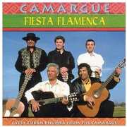 Fiesta Flamenca , Camargue