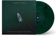 Another Year Older - Green , Larry Fleet