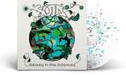 Beauty In The Silence , Soja