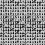 Lonely Guest , Lonely Guest