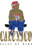 Feast Of Wire - 20th Anniversary Deluxe Edition , Calexico