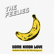 Some Kinda Love: Performing The Music Of The Velvet Underground , The Feelies