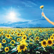 Thank You , Stone Temple Pilots