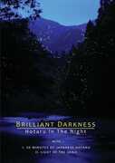 Brilliant Darkness 