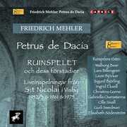 Petrus de Dacia , Various