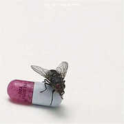 I'm With You [Import] , Red Hot Chili Peppers